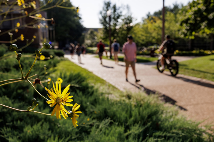 students walking and riding bike, foreground of flowers