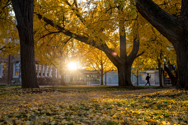 campus in fall with student walking in background